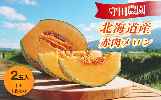 
            北海道富良野産赤肉メロン 1.6kg以上×2玉【1471806】
          