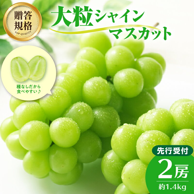 【ふるさと納税】 《先行受付》贈答規格 シャインマスカット 約1.4kg（2房）【2025年9月中旬頃〜発送予定】 種なし 山形 ぶどう 大江町産 小林葡萄園 ブドウ 葡萄 果物 フルーツ 産地直送 プレゼント レビューキャンペーン