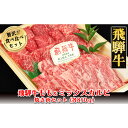 【ふるさと納税】 飛騨牛もも・ミックスカルビ焼肉セット各850g 【冷凍】　冷凍配送　飛騨牛もも850g 飛騨牛ミックスカルビ850g 1700g もも カルビ 飛騨牛 下呂温泉 おすすめ 牛肉 ブランド牛 肉ギフト 国産 贈答品 焼肉用 焼肉 焼肉セット 焼き肉 ギフト 2種 67000円