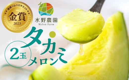 水野農園産タカミメロン　２玉
