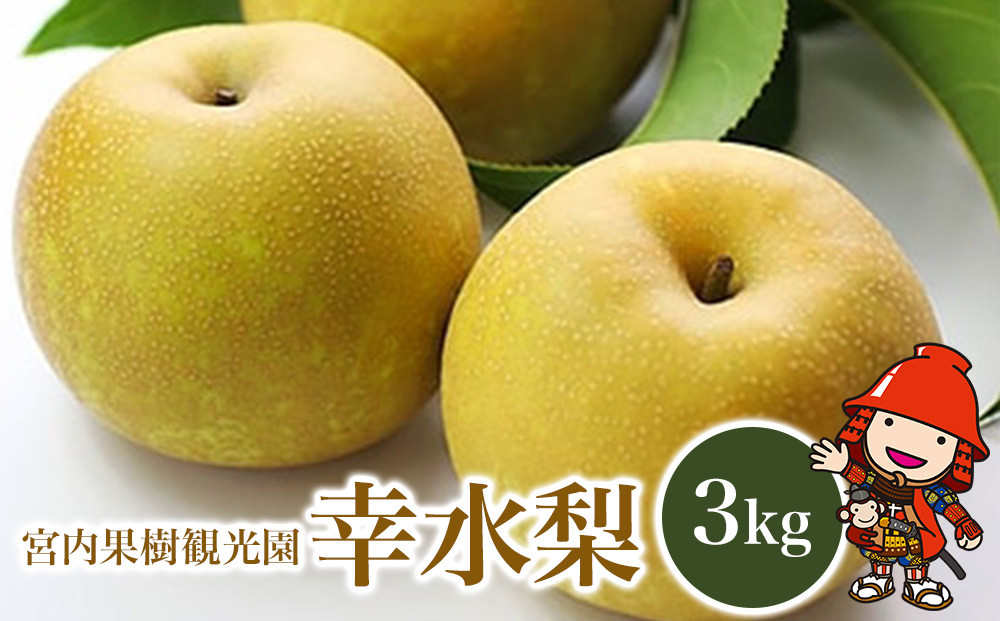 
                  【先行予約】【数量限定】宮内果樹観光園の幸水梨 約3kg | フルーツ 果物 くだもの 梨 なし ナシ 幸水 幸水梨 産地直送 大分県 中津市
                