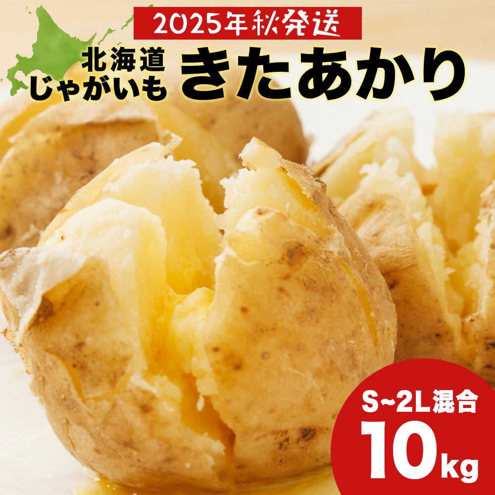 【ふるさと納税】【2025年秋頃出荷予約】「きたあかり」じゃがいも10kg（S～2L混合）有機質100％肥料 じゃがバター ポテトサラダ 肉じゃが北海道ふるさと納税 積丹町 ふるさと納税 北海道 野菜 減農薬 通販 ギフト 贈答品 贈り物