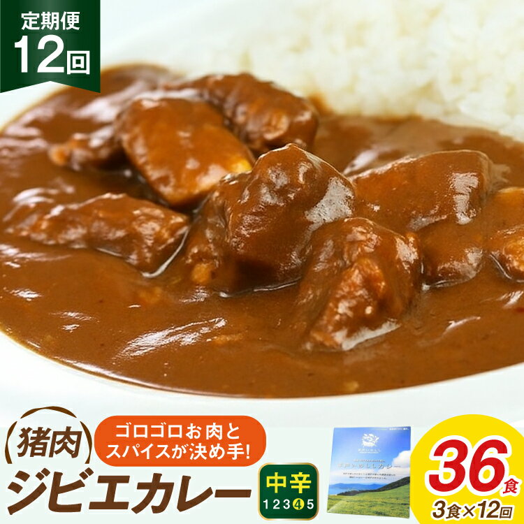 【ふるさと納税】カレー スパイス 平戸 イノシシ カレー 3食 セット 12回 定期便 総計 36食 [平戸ファクトリー 長崎県 平戸市 hr42bgy400167] カレーライス ライス レトルト 本格 いのしし 猪 シシ ジビエ 猪肉