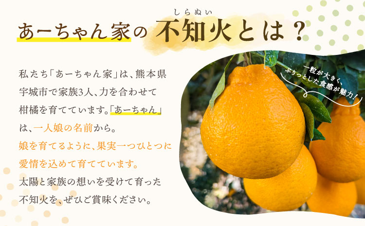 【先行予約】宇城市産  あーちゃん家の 不知火 5kg 【2026年4月上旬〜5月下旬発送予定】 しらぬい 柑橘 みかん ミカン 蜜柑 オレンジ 