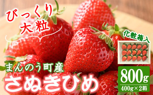 ＜期間限定！2024年2月中旬以降順次発送予定＞＜贈答用＞＜選べる容量＞香川県産 さぬきひめいちご(計約800g・約400g×2箱) 【man100・man101】【Aglio nero】