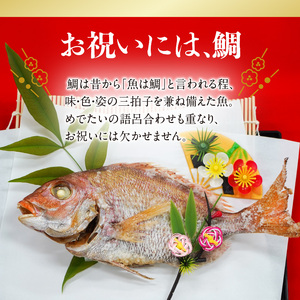 【年末年始用 12月29日に発送】鯛の炭火焼き 1尾 ／ 真鯛【B007】