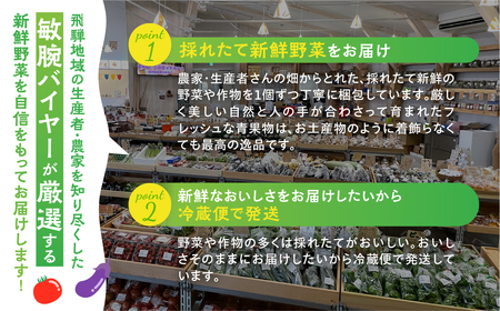 【4回定期便】飛騨の四季のお野菜 旬定期便　4回お届け 旬の新鮮 野菜セット (5～6品)