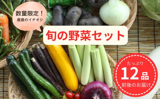 【12月発送】野菜 セット ＼ 12品 前後でお届け／ 旬の野菜ボックス  産地直送 季節限定  【毎月6セット限定】産直あぜみち  岩手県 北上市 B0238