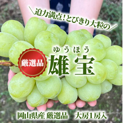 【ふるさと納税】大粒葡萄の「雄宝(ゆうほう)」厳選品 1房/700g～(岡山県産)【配送不可地域：離島・北海道・沖縄県】【1602250】