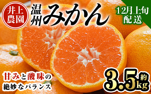 ＜先行予約受付中！12月上旬より順次発送予定＞数量限定 大分県宇佐市産 温州みかん(約3.5kg)みかん ミカン 蜜柑 柑橘 フルーツ 果物 くだもの 果実 国産【103670400】【井上農園】