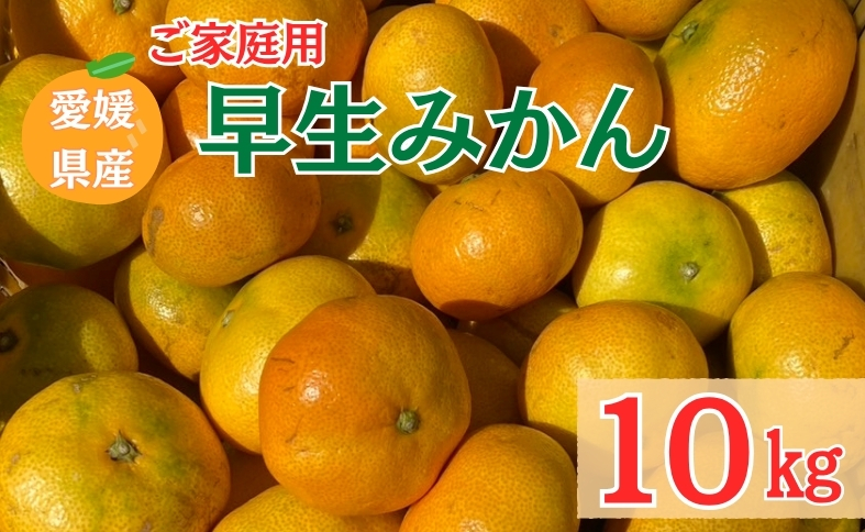 早生みかん 10kg ご家庭用 農園直送 先行予約 【11月以降順次発送予定】 愛媛 数量限定 愛媛県産 人気 柑橘 伊予市｜B255