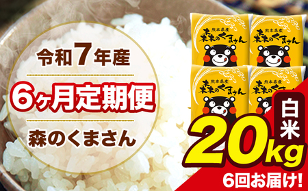 米 令和7年産 森のくまさん 白米 20kg 5kg×4袋 計6回お届け 《お申込み翌月から出荷》 お米 こめ 熊本県産 ご飯 備蓄