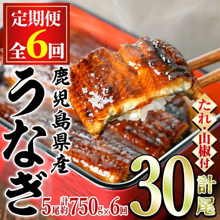＜定期便・全6回＞東串良町 うなぎ 蒲焼 (無頭)(5尾・計約750g・タレ、山椒付×6回) 高級 ウナギ 鰻 国産 たれ 鹿児島 ふるさと 人気【アクアおおすみ】【150041】
