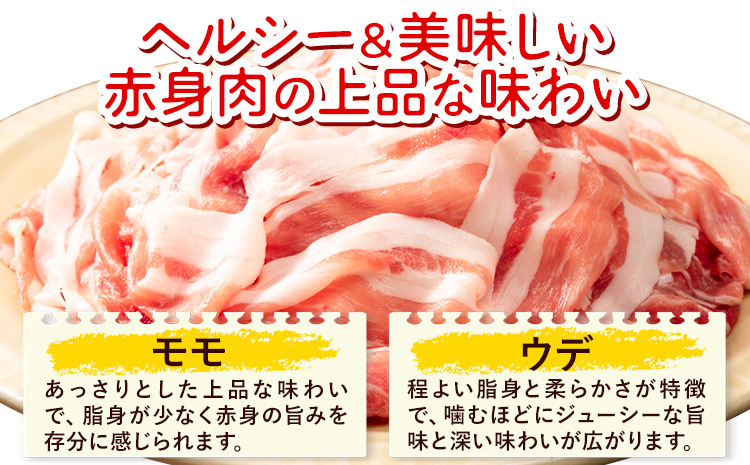 【3ヶ月定期便】熊本県産 豚肉 モモスライス ウデ こま切れ セット 合計 約9kg 約3kg×3回 植田商事有限会社 《お申し込み月の翌月から出荷開始》 熊本県 菊池市 モモ ウデ 詰め合わせ 豚 