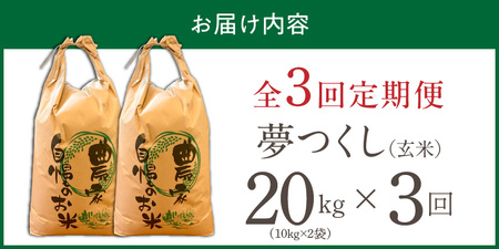 【定期便3回】【令和8年産 新米】福岡県産ブランド米夢つくし 玄米 20kg×3回 _  夢つくし 20kg 3回 定期便 福岡県産 久留米産 ブランド米 品種 艷やか 光沢 やわらかい 食感 米 ご
