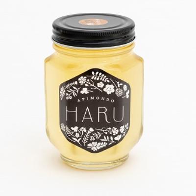 ふるさと納税 能登町 能登産天然はちみつ「HARU」アカシア　220g