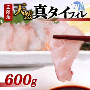 天然真タイフィレ 600g 真鯛 タイ たい まだい 魚 魚介 刺身 冷凍 焼き物 小分け ご飯のお供 三陸産 岩手県 大船渡市