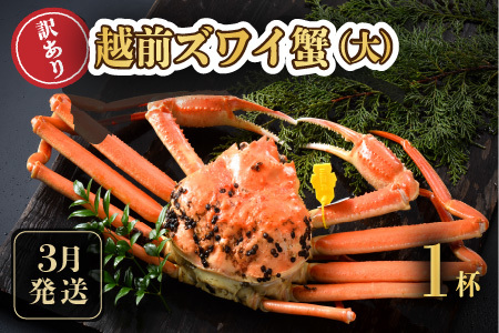 【先行予約】訳あり≪茹で≫越前ズワイ蟹(大) 1杯【2026年3月発送分】 [I-1601_03]