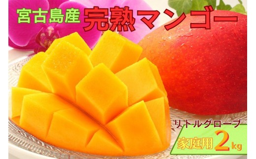 
                  【家庭用】宮古島産マンゴー2kg ＜リトルグローブ＞（LT004）
                