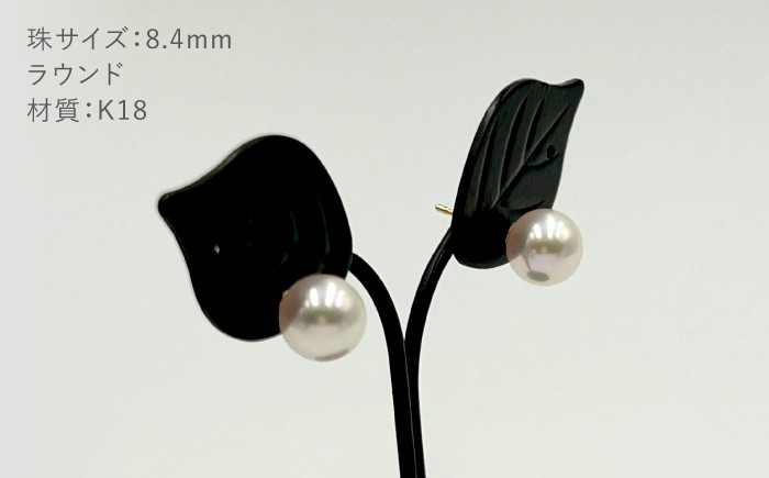 真珠 アコヤ 淡水 本真珠