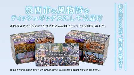 筑西市PR ボックスティッシュ 60箱 ( 5個入り × 12セット ) 1箱200組 400枚 パルプ100% 非売品 ティッシュ ティッシュペーパー 日用品 消耗品 常備品 まとめ買い [EN00