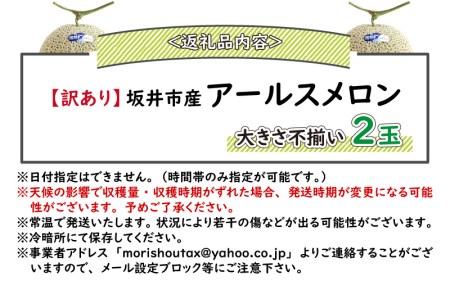 【先行予約】【訳あり】坂井市産 アールスメロン 2玉 【2024年9月上旬以降順次発送予定】[A-3232]