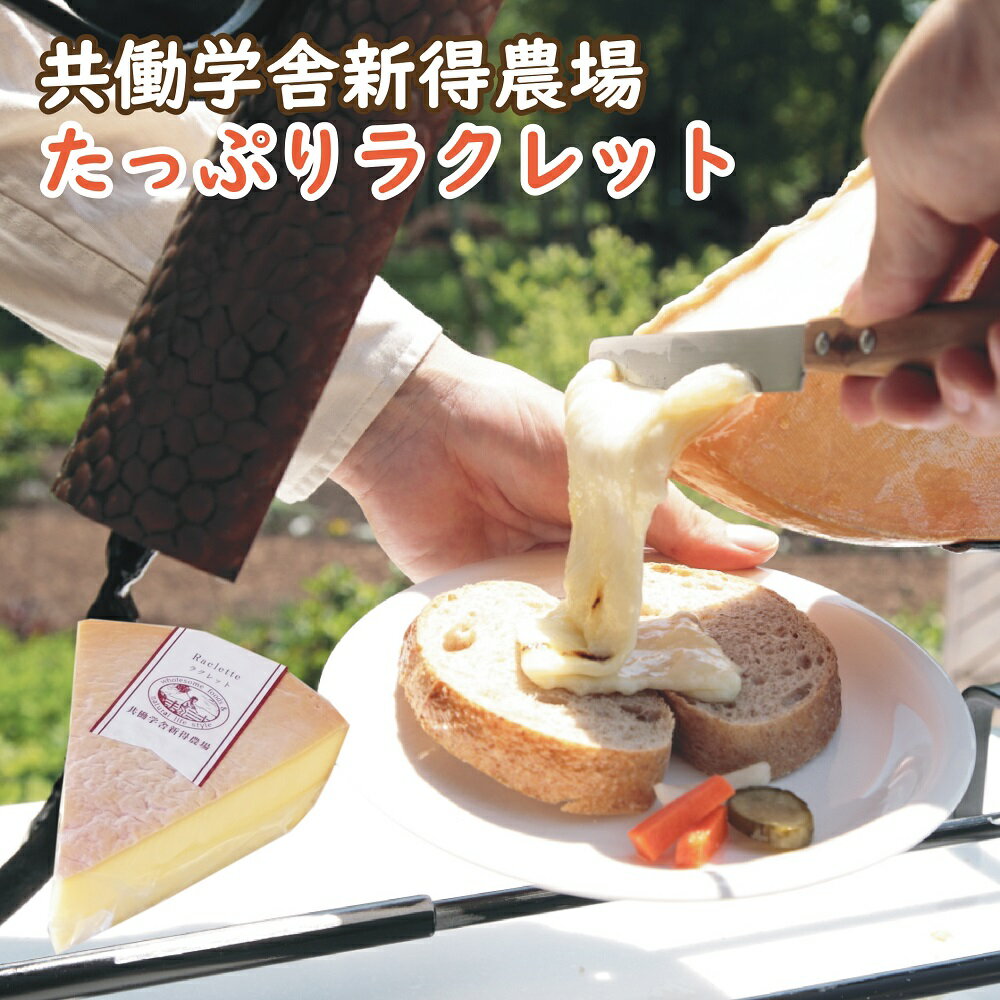 【ふるさと納税】共働学舎新得農場チーズ たっぷりラクレット 北海道 十勝 チーズ ちーず ラクレット ラクレットチーズ 500g 乳製品 生乳 国産 新得町 送料無料 【F-1406】