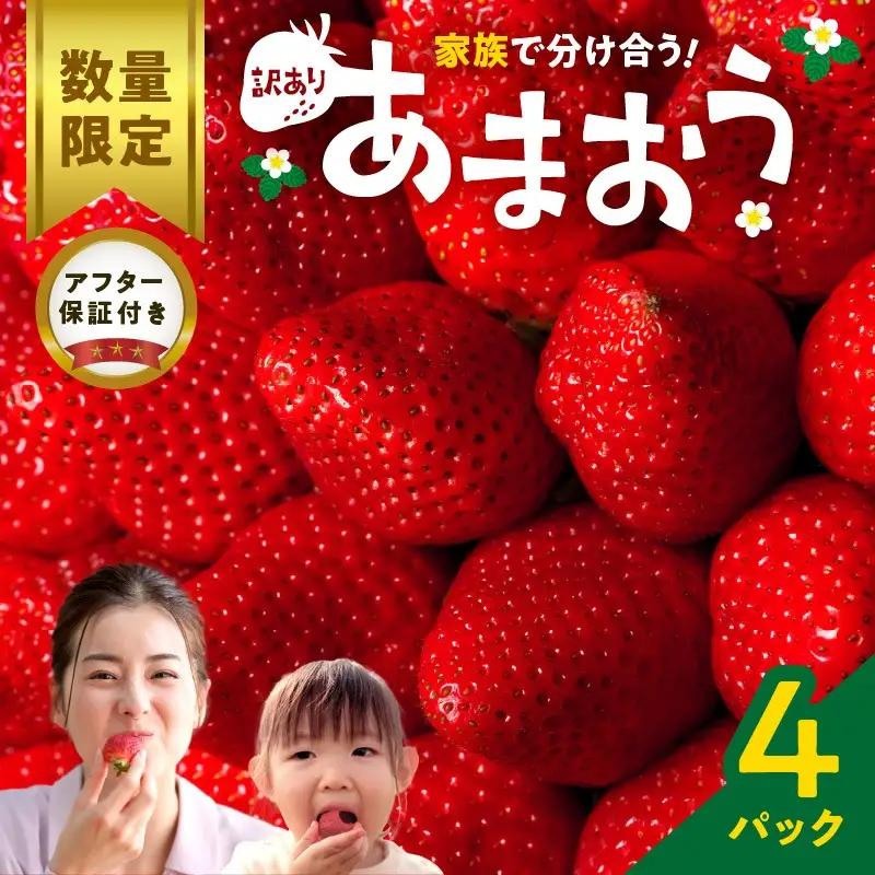 【数量限定】【2026年11月から順次発送】ファミリー向け あまおう約270g×4パック【訳あり】_あまおう いちご 果物 フルーツ ストロベリー〔Fi072〕