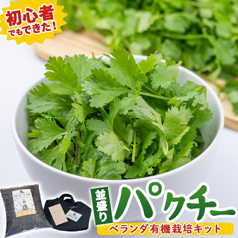 【ふるさと納税】Fis-B05 初心者も安心「並盛り」パクチー栽培キット 趣味 ガーデニング 家庭菜園 園芸 ベランダ菜園 プランター 種 種子 プロ仕様の肥料 培養土 トムヤムクン タイ料理に