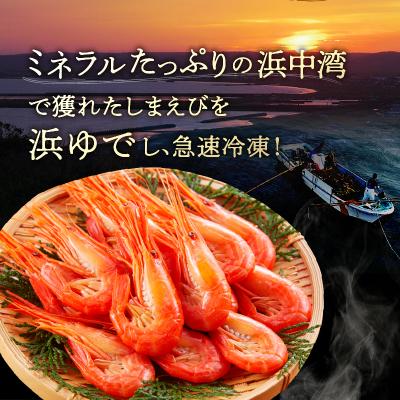 ふるさと納税 浜中町 北海しまえび大　2箱セット(1箱300g13尾前後)_H0001-007 |  | 02