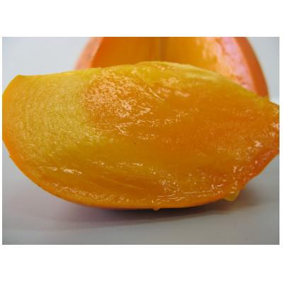 ふるさと納税 八幡浜市 みさき果樹園のとろけてあま〜いジャンボな柿「富士柿5kg」【C21-23】 |  | 02