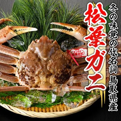 ふるさと納税 境港市 活松葉ガニ 特々大(1.2kg以上)【11月中旬〜3月中旬配送】 |  | 01