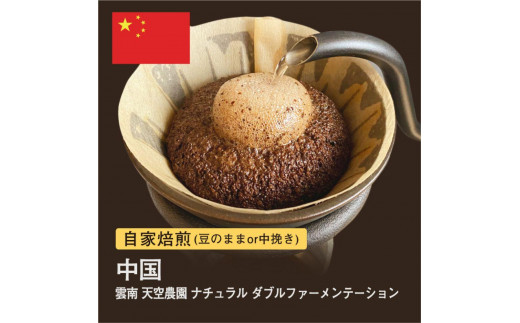 
自家焙煎コーヒー！ #115 310g 雲南 天空農園 ナチュラル ダブルファーメンテーション 珈琲（豆または中挽きから選択）
