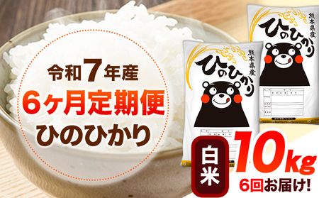 令和7年産【6ヶ月定期便】白米 ひのひかり 10kg 《お申込み翌月から出荷》 熊本県産 白米 精米 ひの 送料無料 熊本県 山江村 SDGs 米 コメ こめ 国産