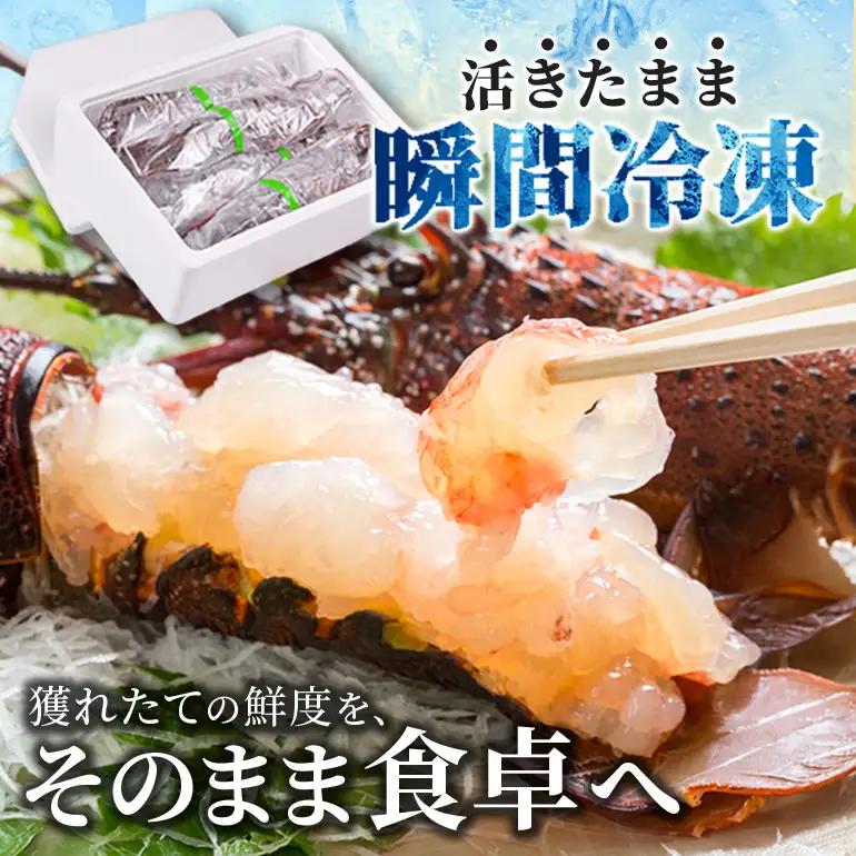 活冷伊勢えび 2～4尾（600g）バタバタしたら角と足がとれちゃいました　【BB25】