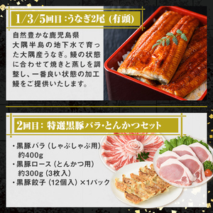 【F90003】＜定期便・全6回＞肝付町セレクト定期便《鰻と豚肉を楽しむ定期便》 鹿児島 豚肉 鹿児島県産 黒豚 鰻 うなぎ ウナギ とんかつ しゃぶしゃぶ ハム ウィンナー 定期便 セレクト 冷凍 