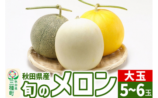 旬のメロン詰合せ 大箱 5玉～6玉 果物 フルーツ 秋田県産