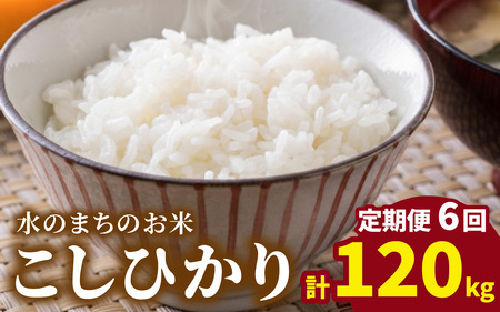 【令和7年産】【6ヶ月定期便】こしひかり 20kg × 6回 計 120kg【白米】減農薬・減化学肥料 「特別栽培米」－地球にやさしいお米－ [P-003003]
