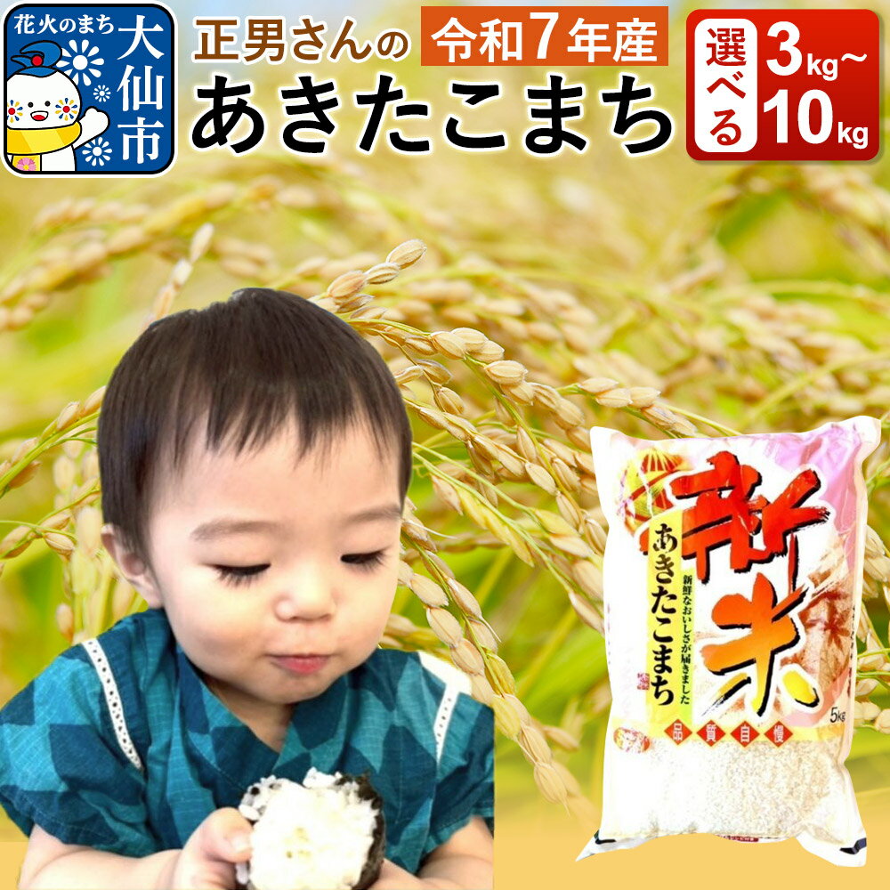 【ふるさと納税】米 令和7年産【白米】正男さんのあきたこまち 選べる容量【3kg／5kg／10kg】