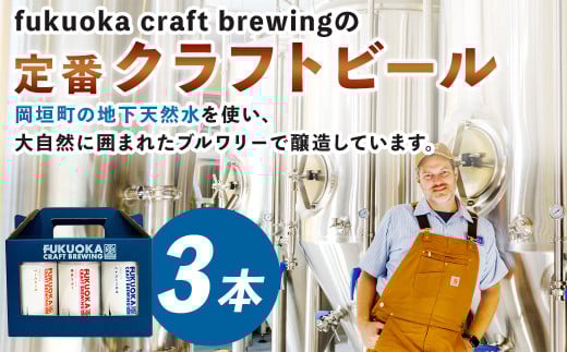 定番3種 クラフトビール 3本 セット 360ml×3本 クラフト ビール FUKUOKA CRAFT BREWING 博多ラガー ペールエール ヘイジーIPA ビール お酒 酒 アルコール 福岡県 岡垣町