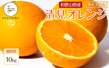 贈答用 森本農園の手選別 厳選清見オレンジ 約10kg 和歌山県産 サイズ混合 ［北海道・沖縄・離島配送不可］［2026年2月上旬から5月中旬頃順次発送予定］［RN90］