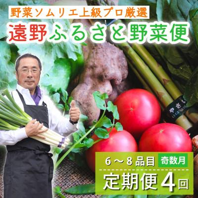 ふるさと納税 遠野市 【発送月固定定期便】遠野ふるさと野菜便 野菜ソムリエ 厳選 詰め合わせセット 岩手県遠野市 全4回