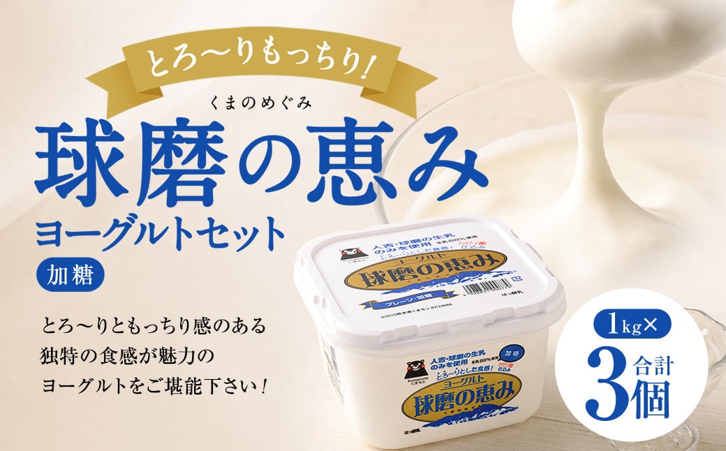 
            とろ～り食感!!球磨の恵みヨーグルト 加糖タイプ 1kg×3パック
          