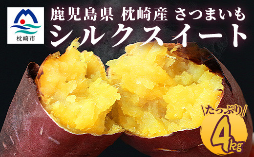 
                  シルクスイート 〈4キロ〉サツマイモ さつまいも 人気品種 鹿児島県 A2-2_ サツマイモ さつまいも 人気品種 鹿児島県  さつま芋 焼き芋 スイーツ 【1167015】
                