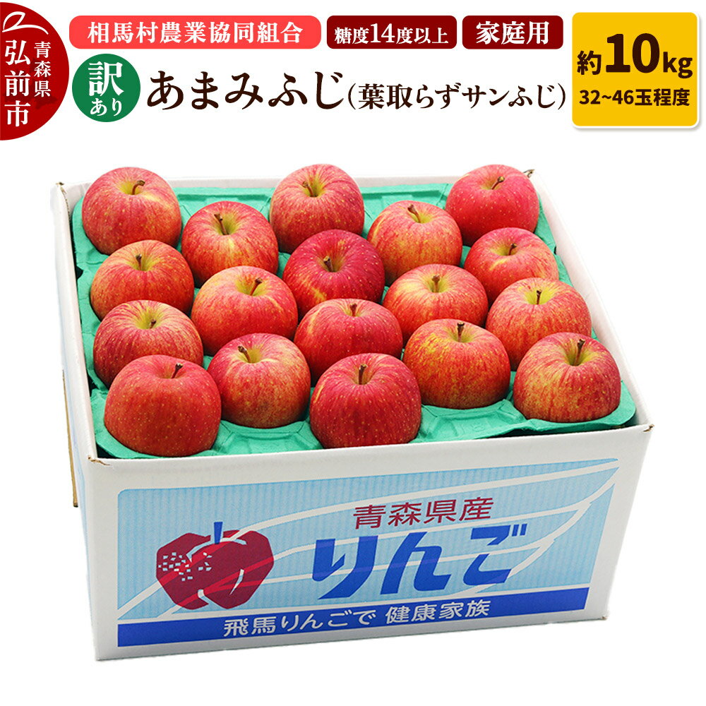 【ふるさと納税】りんご 糖度14度以上【訳あり】家庭用 あまみふじ（葉取らずサンふじ）約10kg（32〜46玉程度）