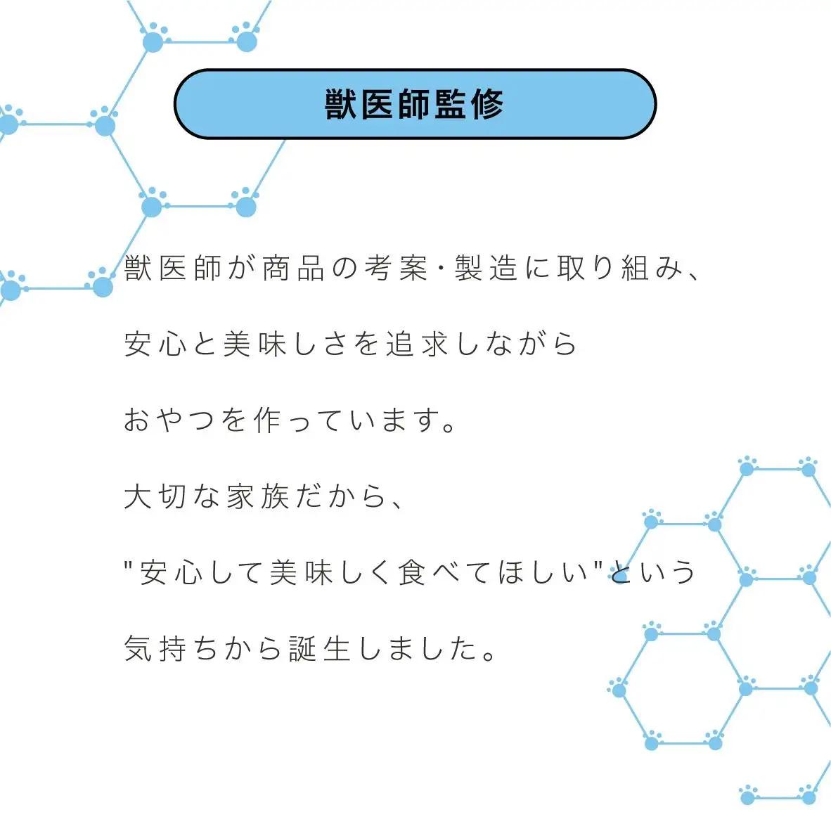 ペットフード研究所 国産無添加【低脂肪・低脂質】贅沢ささみステーキ100g【087E-049】