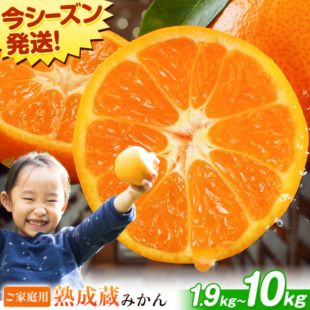 【ふるさと納税】★今なら最短翌営業日★ 熟成みかん 選べる容量(1.9kg-10kg) 《1月上旬-3月上旬頃出荷》徳島県 佐那河内村産 蜜柑 ミカン 柑橘 家庭用 フルーツ 産地直送 甘い 濃厚 蔵出し 大容量 箱買い くだもの 冬の味覚 数量限定 まだある 訳あり ご家庭