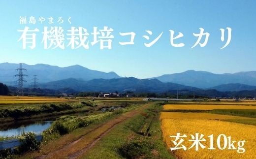 
            No.2379やまろく商店 令和6年産有機栽培コシヒカリ 玄米10kg
          