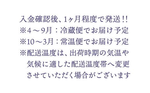 【配送日指定可】【 定期便 /6ヶ月連続】季節の お供え用 アレンジメントフラワー 仏花 お盆 お供え お悔やみ 仏事 法事 命日 お盆 秋彼岸 春彼岸 正月 生花 [CY011sa]
