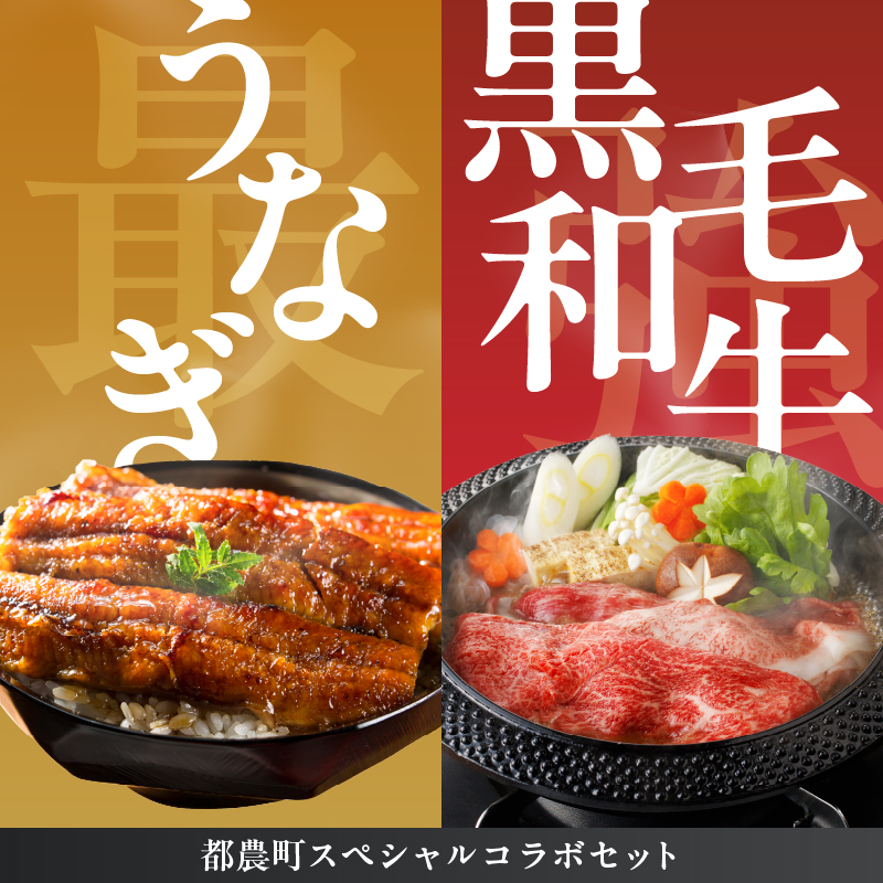 ≪数量限定≫うなぎ×黒毛和牛 都農町最強セットB_T030-072【都農町新着 肉 牛 牛肉 おかず 国産 人気 ギフト 食品 すき焼き しゃぶしゃぶ BBQ 贈り物 送料無料 プレゼント】